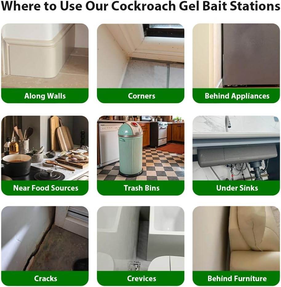 Cockroach Killer Gel (Pack of 2)