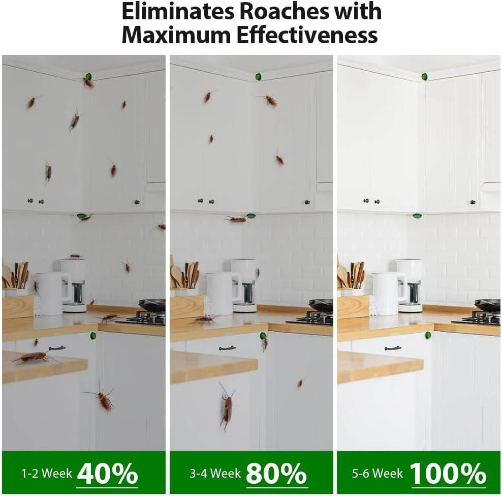 Cockroach Killer Gel (Pack of 2)